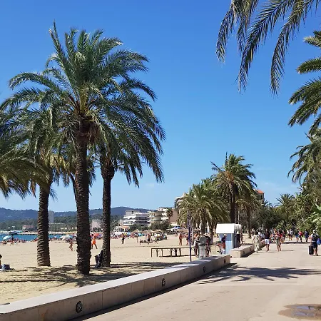 Daire Grand F2 Vue *